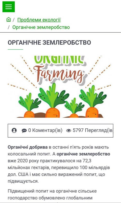 Сторінка блогу для мобільної версії 2