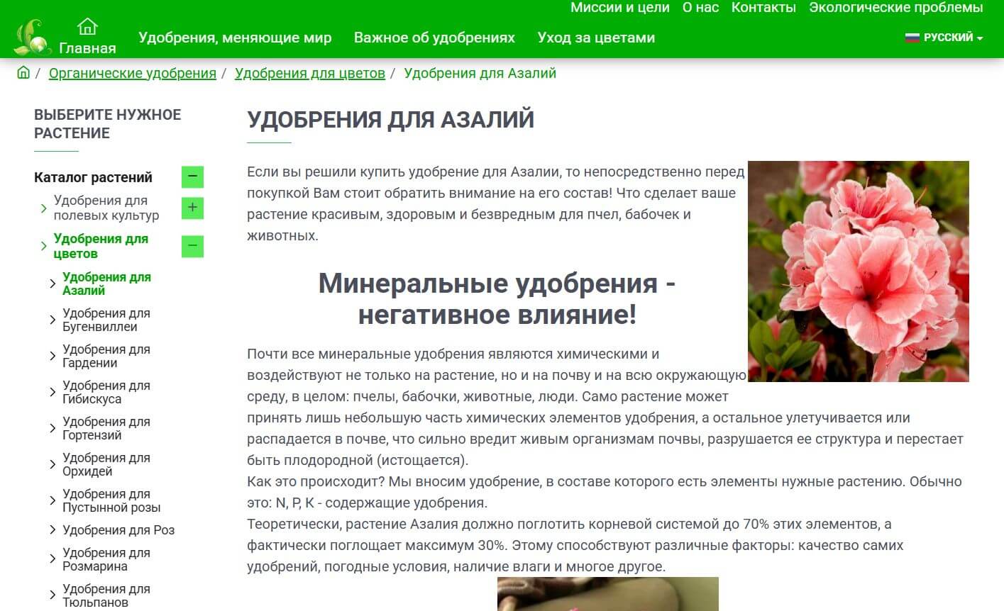 Сторінка блогу для десктопної версії Green World